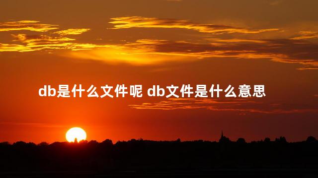 db是什么文件呢 db文件是什么意思